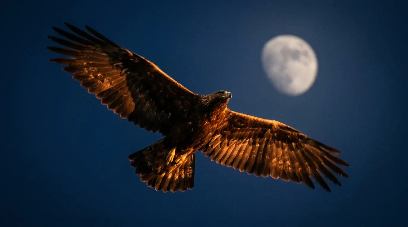 Dream of an Eagle Flying Over You at Night: Spiritual Meaning