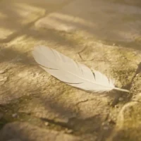 finding-white-feather-on-ground-dream.webp