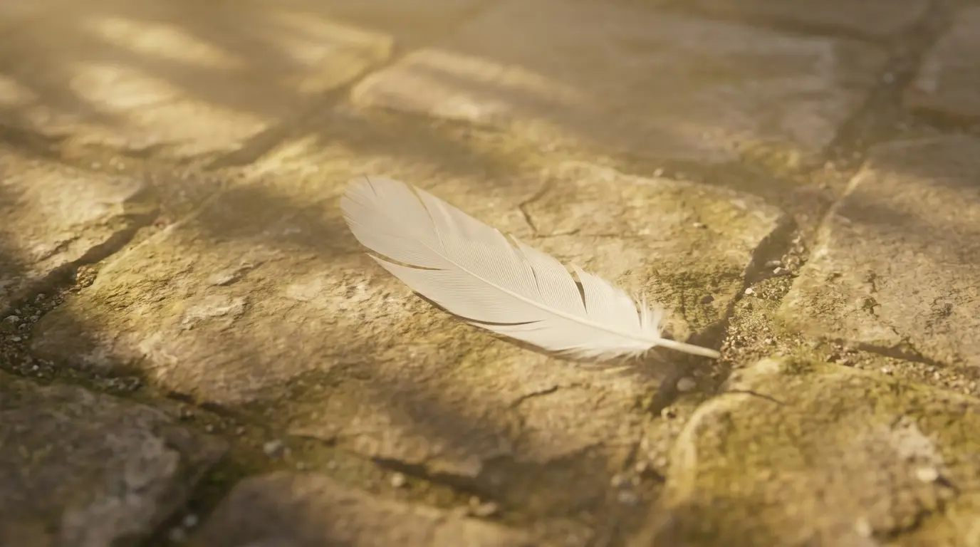 Finding a White Feather on the Ground in a Dream: Meaning