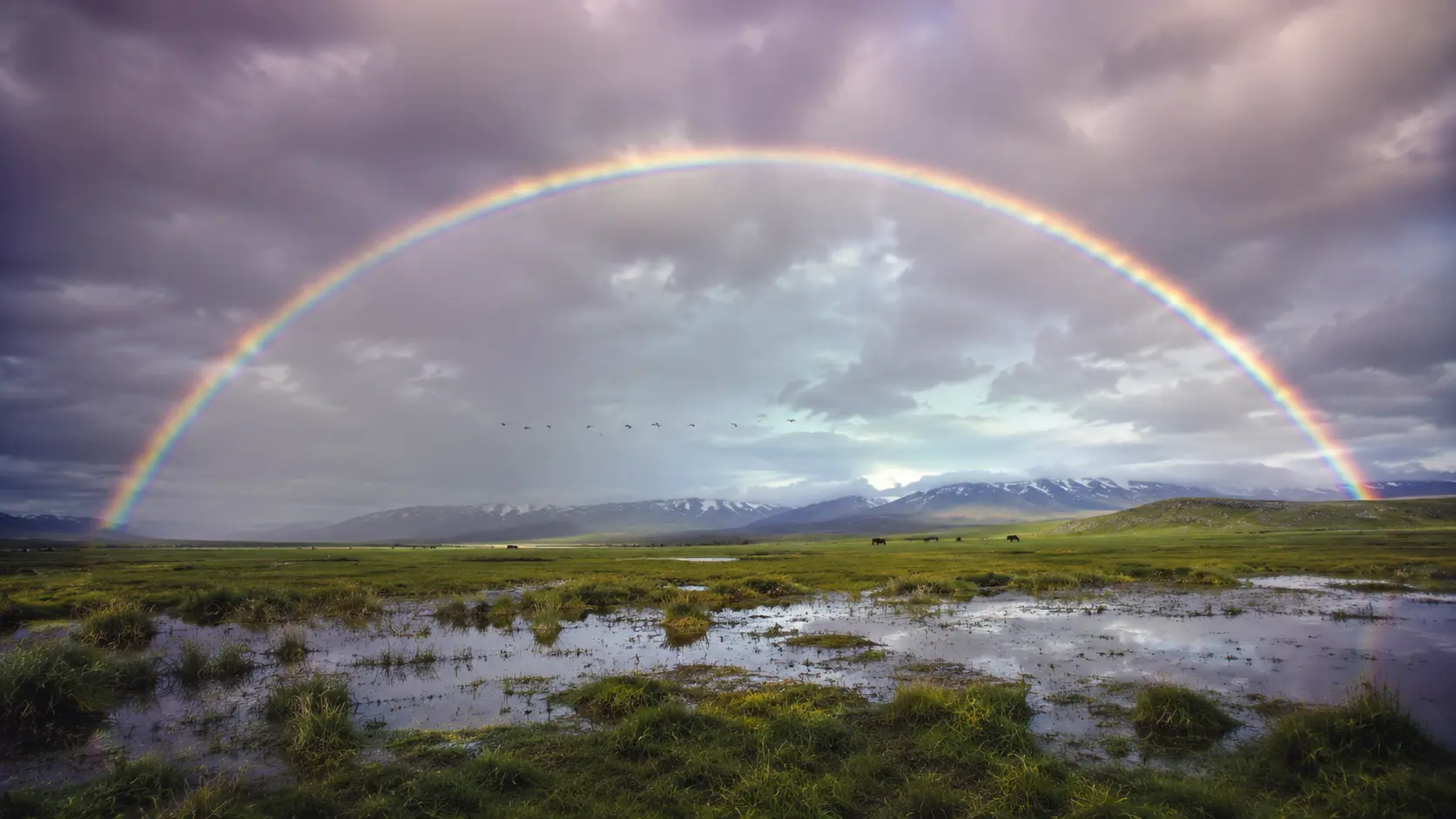 Rainbow viewed from an elevated position showing how its appearance depends on the observer’s viewpoint